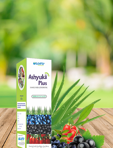 Ashyuka Plus